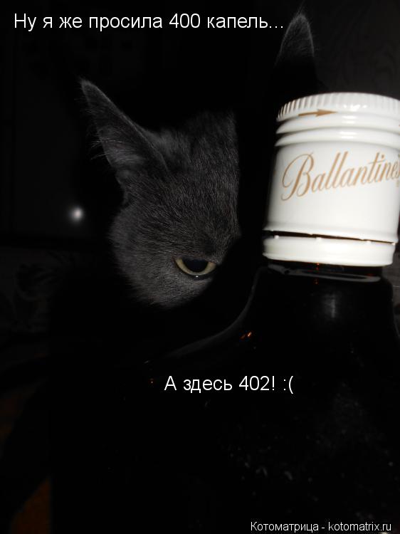 Ну я же просила 400 капель... А здесь 402! :(... Котоматрица: Ну я же просила 400 капель... А здесь 402! :(