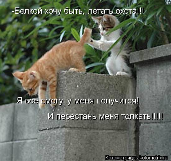 -Белкой хочу быть, летать охота!!! Я все смогу, у меня получится! И перестань меня толкать!!!!!... Котоматрица: -Белкой хочу быть, летать охота!!! Я все смогу, у меня получится! И перестань меня толкать!!!!!