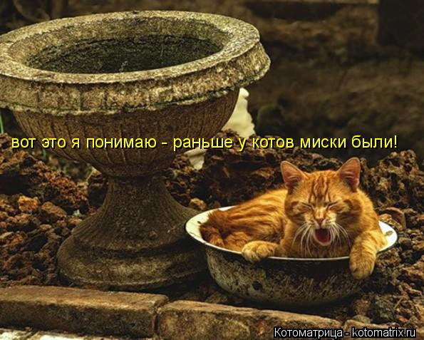 вот это я понимаю - раньше у котов миски были!... Котоматрица: вот это я понимаю - раньше у котов миски были!
