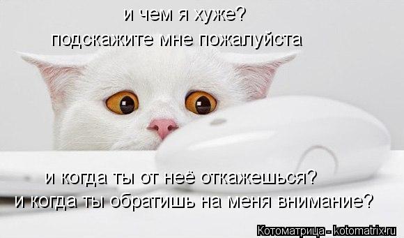 и чем я хуже? подскажите мне пожалуйста и когда ты от неё откажешься? и когда ты обратишь на меня вни... Котоматрица: и чем я хуже? подскажите мне пожалуйста и когда ты от неё откажешься? и когда ты обратишь на меня внимание?