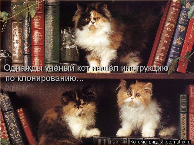 Однажды учёный кот нашёл инструкцию по клонированию...... Котоматрица: Однажды учёный кот нашёл инструкцию по клонированию...