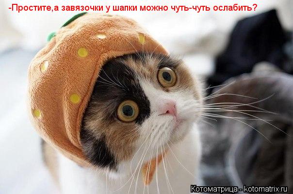 -Простите,а завязочки у шапки можно чуть-чуть ослабить?... Котоматрица: -Простите,а завязочки у шапки можно чуть-чуть ослабить?