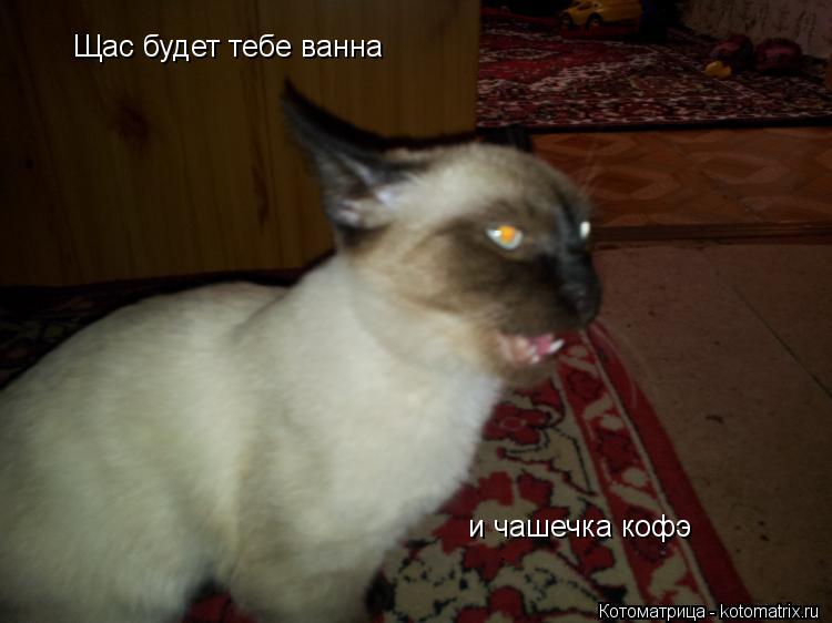 Щас будет тебе ванна и чашечка кофэ... Котоматрица: Щас будет тебе ванна и чашечка кофэ