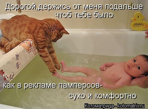 Дорогой,держись от меня подальше чтоб тебе было как в рекламе памперсов- сухо и комфортно... Котоматрица: Дорогой,держись от меня подальше чтоб тебе было как в рекламе памперсов- сухо и комфортно