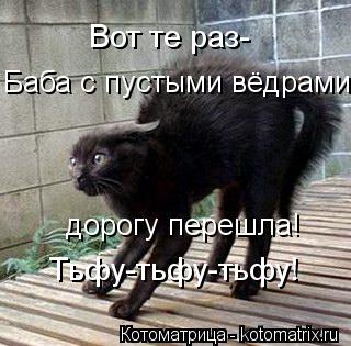 Вот те раз- Баба с пустыми вёдрами дорогу перешла! Тьфу-тьфу-тьфу!... Котоматрица: Вот те раз- Баба с пустыми вёдрами дорогу перешла! Тьфу-тьфу-тьфу!