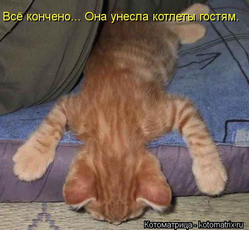 Всё кончено... Она унесла котлеты гостям.... Котоматрица: Всё кончено... Она унесла котлеты гостям.