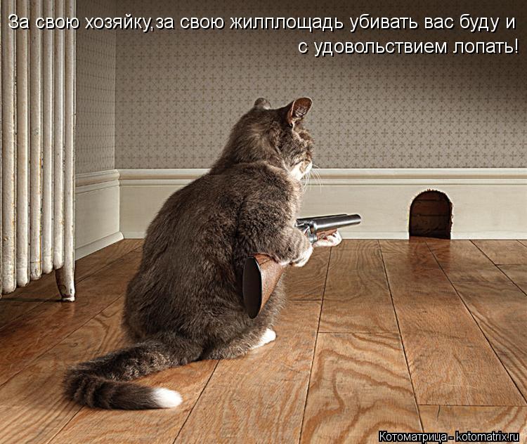 За свою хозяйку,за свою жилплощадь убивать вас буду и с удовольствием лопать!... Котоматрица: За свою хозяйку,за свою жилплощадь убивать вас буду и с удовольствием лопать!