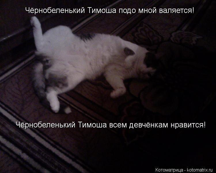 Чёрнобеленький Тимоша подо мной валяется! Чёрнобеленький Тимоша всем девчёнкам нравится!... Котоматрица: Чёрнобеленький Тимоша подо мной валяется! Чёрнобеленький Тимоша всем девчёнкам нравится!