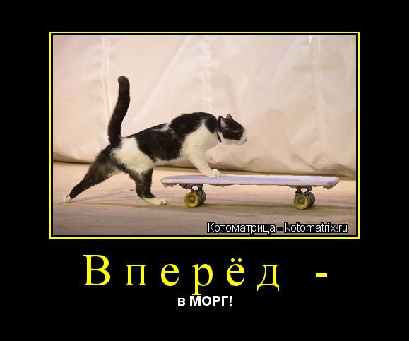 Вперёд - в МОРГ!... Котоматрица: Вперёд - в МОРГ!