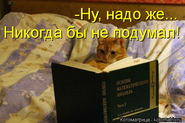 -Ну, надо же... Никогда бы не подумал!... Котоматрица: -Ну, надо же... Никогда бы не подумал!