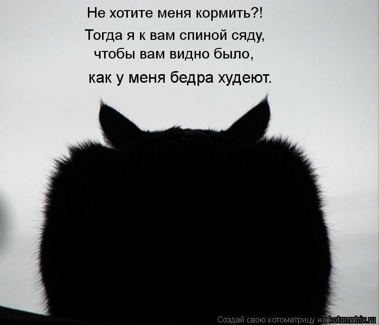 Не хотите меня кормить?! Тогда я к вам спиной сяду, чтобы вам видно было, как у меня бедра худеют.... Котоматрица: Не хотите меня кормить?! Тогда я к вам спиной сяду, чтобы вам видно было, как у меня бедра худеют.