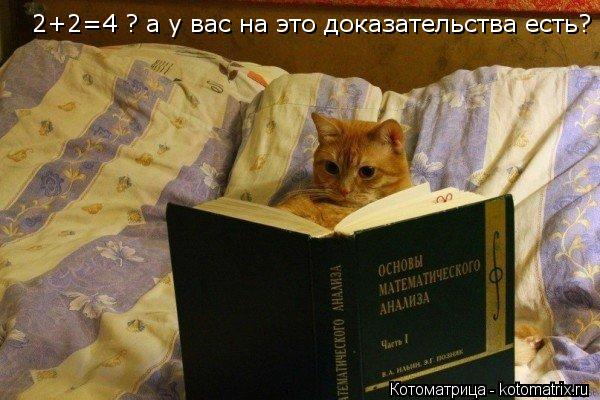 2+2=4 ? а у вас на это доказательства есть?... Котоматрица: 2+2=4 ? а у вас на это доказательства есть?