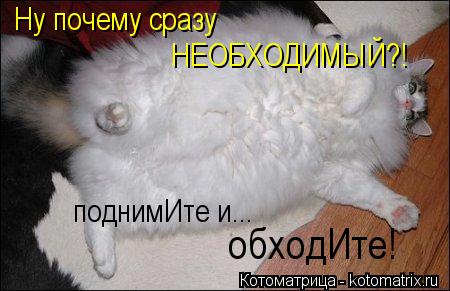 Ну почему сразу НЕОБХОДИМЫЙ?! поднимИте и... обходИте!... Котоматрица: Ну почему сразу НЕОБХОДИМЫЙ?! поднимИте и... обходИте!