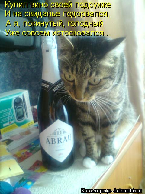 Купил вино своей подружке И на свиданье подорвался, А я, покинутый, голодный Уже совсем истосковался.... Котоматрица: Купил вино своей подружке И на свиданье подорвался, А я, покинутый, голодный Уже совсем истосковался...