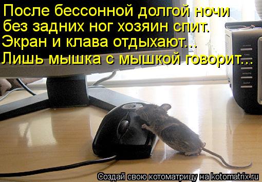 Котоматрица: После бессонной долгой ночи без задних ног хозяин спит. Экран и клава отдыхают... Лишь мышка с мышкой говорит...