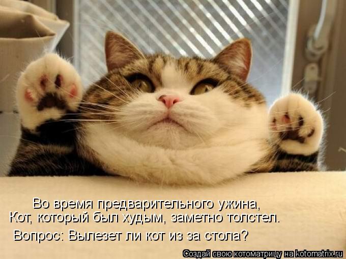 Во время предварительного ужина, Кот, который был худым, заметно толстел. Вопрос: Вылезет ли кот из з... Котоматрица: Во время предварительного ужина, Кот, который был худым, заметно толстел. Вопрос: Вылезет ли кот из за стола?