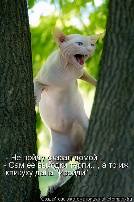 - Не пойду сказал домой... - Сам её выходки терпи..., а то иж кликуху дала "Изойди"....... Котоматрица: - Не пойду сказал домой... - Сам её выходки терпи..., а то иж кликуху дала "Изойди"....
