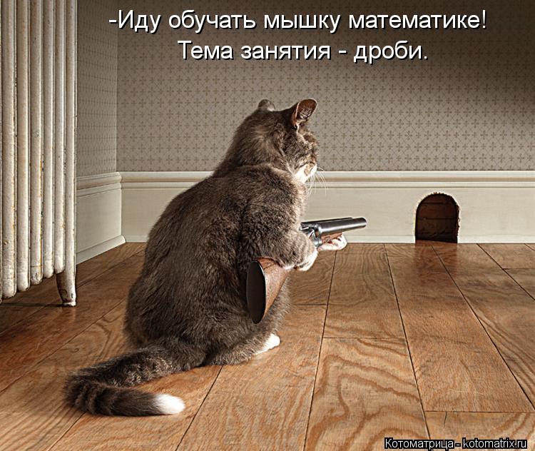 -Иду обучать мышку математике! Тема занятия - дроби.... Котоматрица: -Иду обучать мышку математике! Тема занятия - дроби.