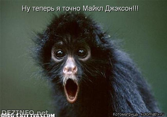 Ну теперь я точно Майкл Джэксон!!!... Котоматрица: Ну теперь я точно Майкл Джэксон!!!