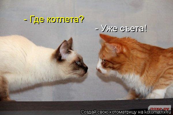 Котоматрица: - Где котлета?  - Уже съета!
