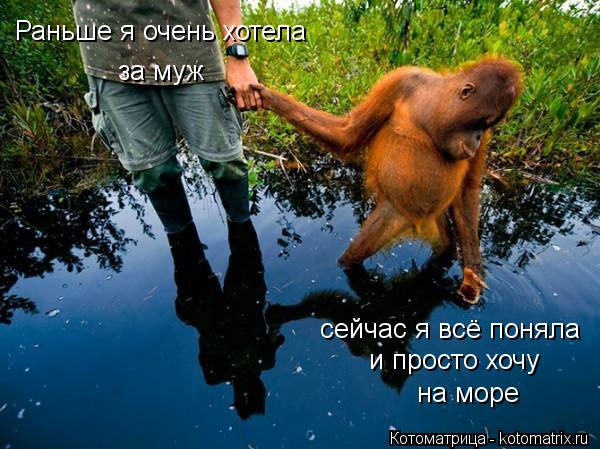 Раньше я очень хотела за муж сейчас я всё поняла и просто хочу на море... Котоматрица: Раньше я очень хотела за муж сейчас я всё поняла и просто хочу на море