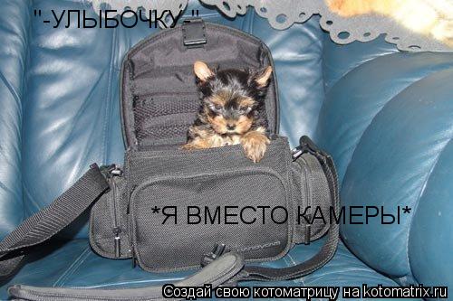 "-УЛЫБОЧКУ-" *Я ВМЕСТО КАМЕРЫ*... Котоматрица: "-УЛЫБОЧКУ-" *Я ВМЕСТО КАМЕРЫ*