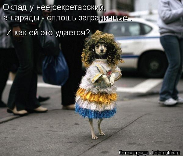 Оклад у нее секретарский, а наряды - сплошь заграничные.. И как ей это удается?... Котоматрица: Оклад у нее секретарский, а наряды - сплошь заграничные.. И как ей это удается?