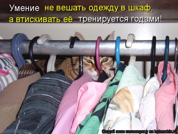 не вешать одежду в шкаф, Умение тренируется годами! а втискивать её... Котоматрица: не вешать одежду в шкаф, Умение тренируется годами! а втискивать её