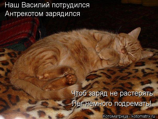 Наш Василий потрудился Антрекотом зарядился Чтоб заряд не растерять Лег немного подремать!... Котоматрица: Наш Василий потрудился Антрекотом зарядился Чтоб заряд не растерять Лег немного подремать!