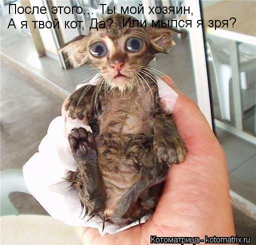После этого... Ты мой хозяин, А я твой кот, Да? Или мылся я зря?... Котоматрица: После этого... Ты мой хозяин, А я твой кот, Да? Или мылся я зря?
