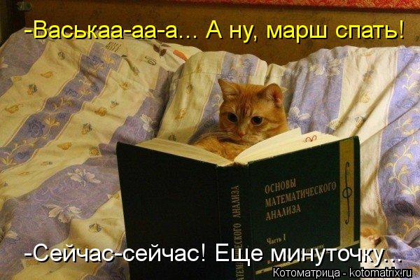 -Васькаа-аа-а... А ну, марш спать! -Сейчас-сейчас! Еще минуточку...... Котоматрица: -Васькаа-аа-а... А ну, марш спать! -Сейчас-сейчас! Еще минуточку...