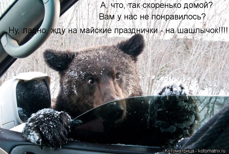 А, что, так скоренько домой? Ну, ладно, жду на майские празднички - на шашлычок!!!! Вам у нас не понр... Котоматрица: А, что, так скоренько домой? Ну, ладно, жду на майские празднички - на шашлычок!!!! Вам у нас не понравилось?