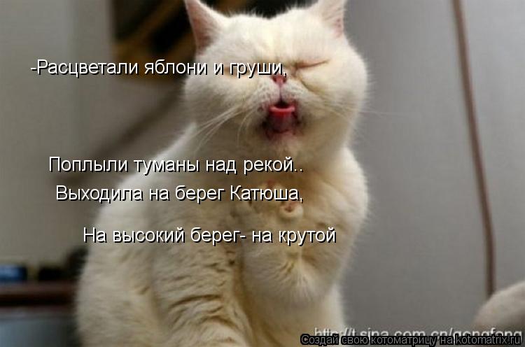 -Расцветали яблони и груши, Поплыли туманы над рекой.. Выходила на берег Катюша, На высокий берег- ... Котоматрица: -Расцветали яблони и груши, Поплыли туманы над рекой.. Выходила на берег Катюша, На высокий берег- на крутой Выходила, песню заводила