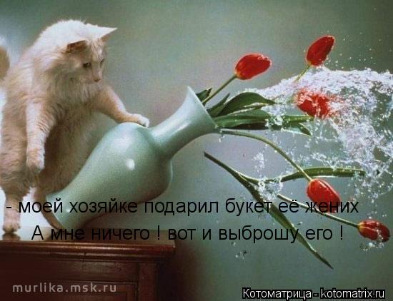 - моей хозяйке подарил букет её жених А мне ничего ! вот и выброшу его !... Котоматрица: - моей хозяйке подарил букет её жених А мне ничего ! вот и выброшу его !