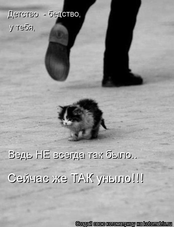 Детство - бедство, у тебя, Сейчас же ТАК уныло!!! Ведь НЕ всегда так было..... Котоматрица: Детство - бедство, у тебя, Сейчас же ТАК уныло!!! Ведь НЕ всегда так было..