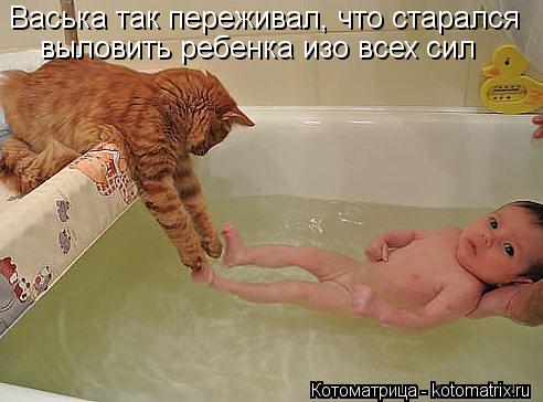 Васька так переживал, что старался выловить ребенка изо всех сил... Котоматрица: Васька так переживал, что старался выловить ребенка изо всех сил