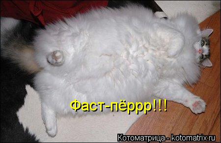 Фаст-пёррр!!!... Котоматрица: Фаст-пёррр!!!