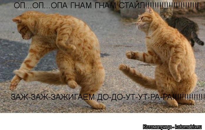 ОП...ОП...ОПА ГНАМ ГНАМ СТАЙЛ!!!!!!!!!!!!!!!!!!!!!!! ЗАЖ-ЗАЖ-ЗАЖИГАЕМ ДО-ДО-УТ-УТ-РА-РА!!!!!!!!!!!!!!... Котоматрица: ОП...ОП...ОПА ГНАМ ГНАМ СТАЙЛ!!!!!!!!!!!!!!!!!!!!!!! ЗАЖ-ЗАЖ-ЗАЖИГАЕМ ДО-ДО-УТ-УТ-РА-РА!!!!!!!!!!!!!!!!!!!!!!!!