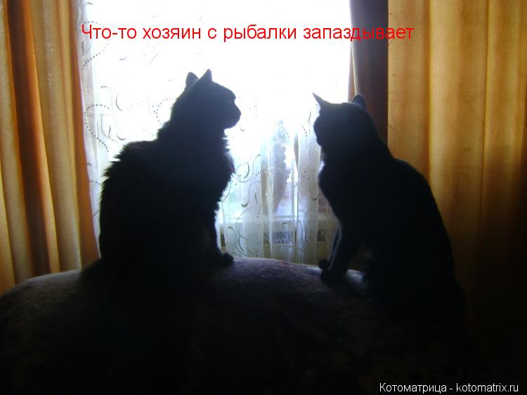 Что-то хозяин с рыбалки запаздывает... Котоматрица: Что-то хозяин с рыбалки запаздывает