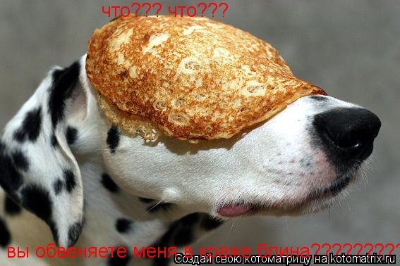 что??? что??? вы обвеняете меня в краже блина?????????... Котоматрица: что??? что??? вы обвеняете меня в краже блина?????????