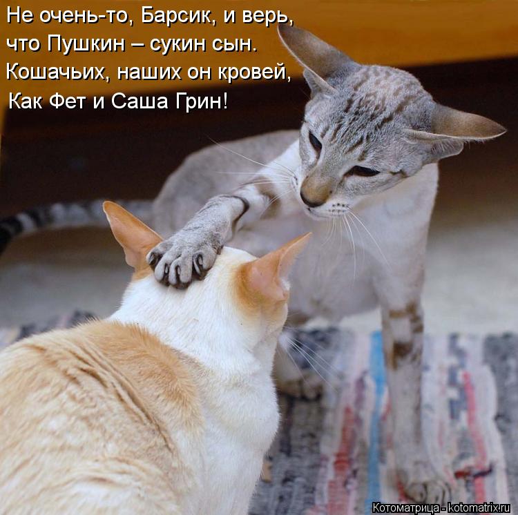 Не очень-то, Барсик, и верь, что Пушкин – сукин сын. что Пушкин – сукин сын. Кошачьих, наших он крове... Котоматрица: Не очень-то, Барсик, и верь, что Пушкин – сукин сын. что Пушкин – сукин сын. Кошачьих, наших он кровей, Как Фет и Саша Грин!