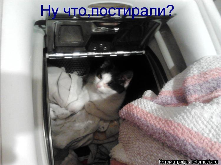 Ну что,постирали?... Котоматрица: Ну что,постирали?