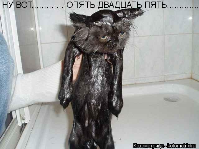 НУ ВОТ............. ОПЯТЬ ДВАДЦАТЬ ПЯТЬ.................... Котоматрица: НУ ВОТ............. ОПЯТЬ ДВАДЦАТЬ ПЯТЬ.................