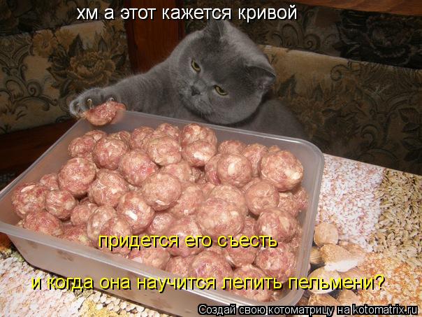хм а этот кажется кривой хм а этот кажется кривой придется его съесть и когда она научится лепить пел... Котоматрица: хм а этот кажется кривой хм а этот кажется кривой придется его съесть и когда она научится лепить пельмени?