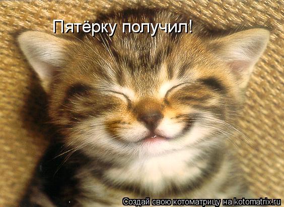 Пятёрку получил!... Котоматрица: Пятёрку получил!