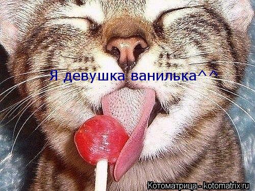 Я девушка ванилька^^... Котоматрица: Я девушка ванилька^^