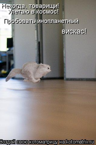 Некогда, товарищи! Улетаю в космос! Пробовать инопланетный вискас!... Котоматрица: Некогда, товарищи! Улетаю в космос! Пробовать инопланетный вискас!