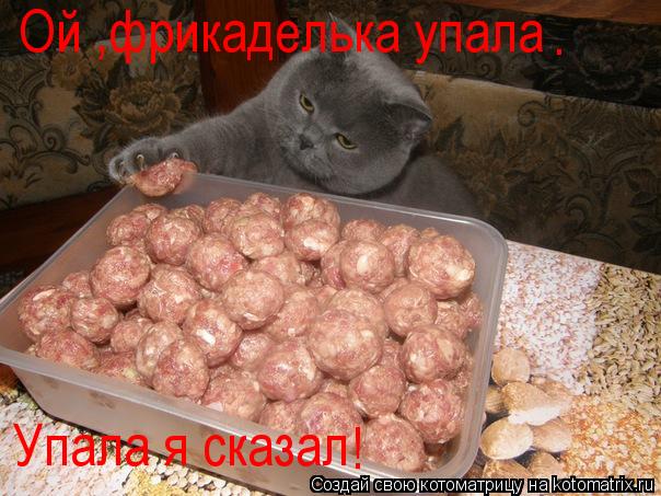 Ой ,фрикаделька упала Упала я сказал . !... Котоматрица: Ой ,фрикаделька упала Упала я сказал . !