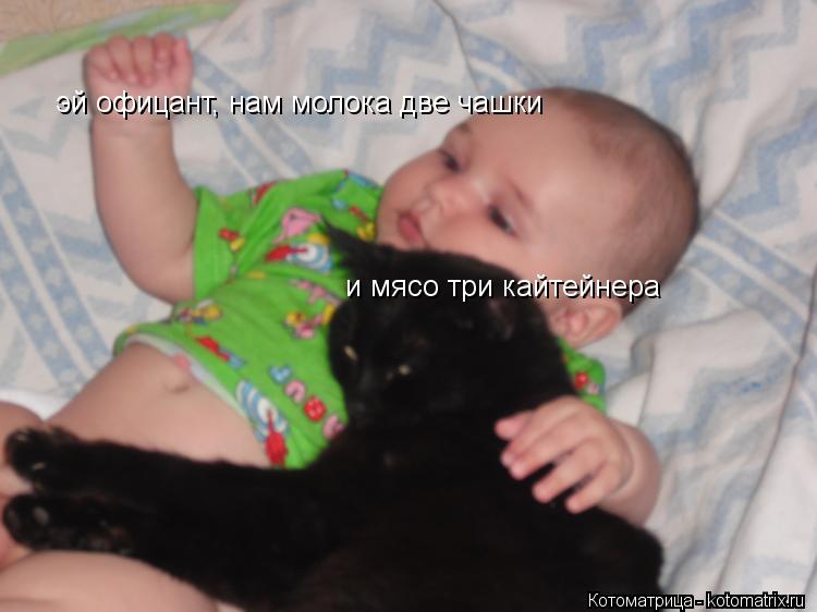 эй офицант, нам молока две чашки и мясо три кайтейнера... Котоматрица: эй офицант, нам молока две чашки и мясо три кайтейнера