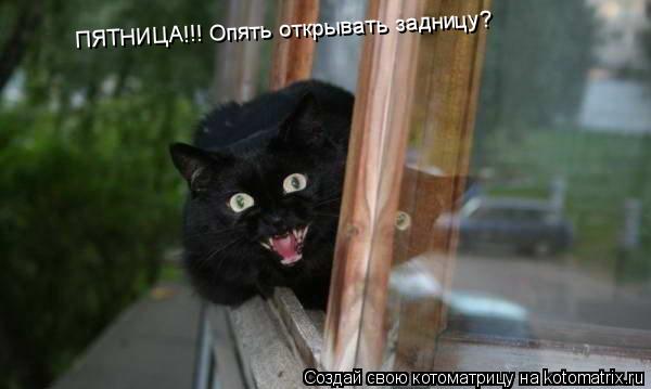 ПЯТНИЦА!!! Опять открывать задницу?... Котоматрица: ПЯТНИЦА!!! Опять открывать задницу?